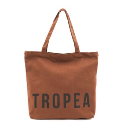 Cartera Icon